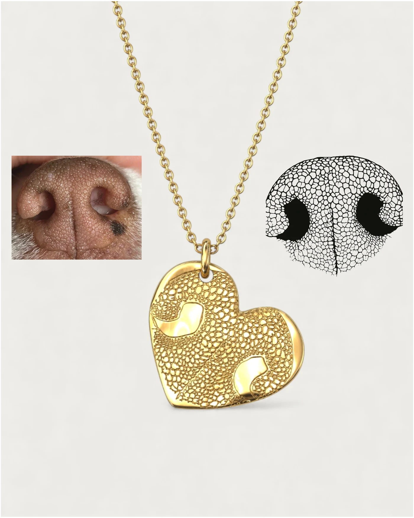 Colgante Huella Nariz Perro o Gato Dorado