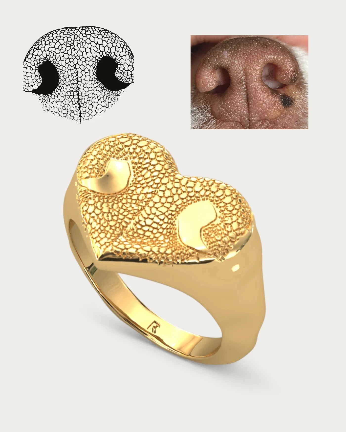 Anillo Huella Nariz Perro o Gato Dorado