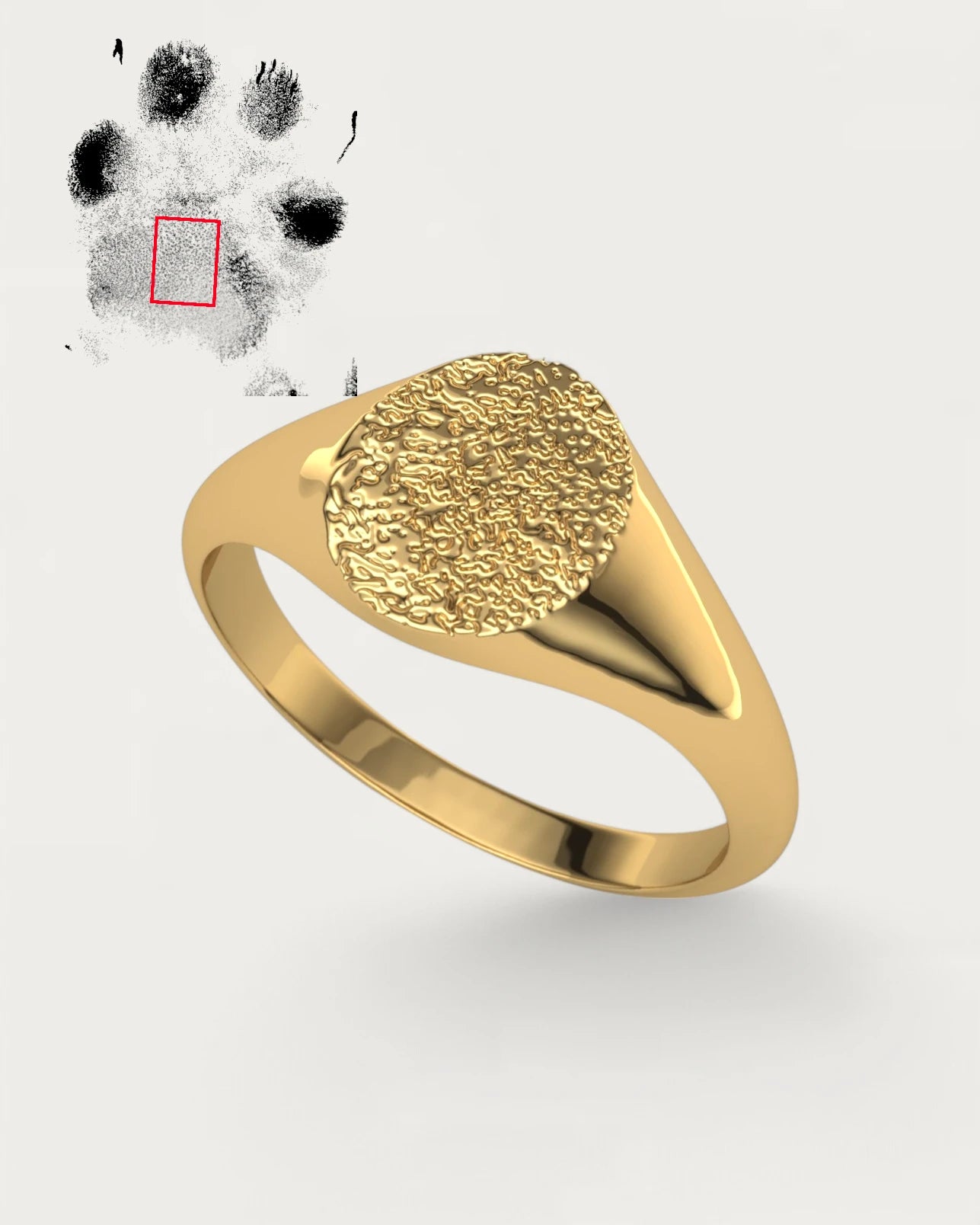 Anillo Sello Huella Mascota Ovalado Hombre Oro