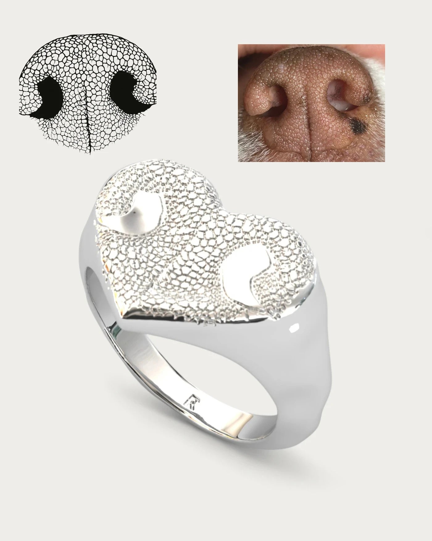 Anillo Huella Nariz Perro o Gato Dorado en Plata de Ley