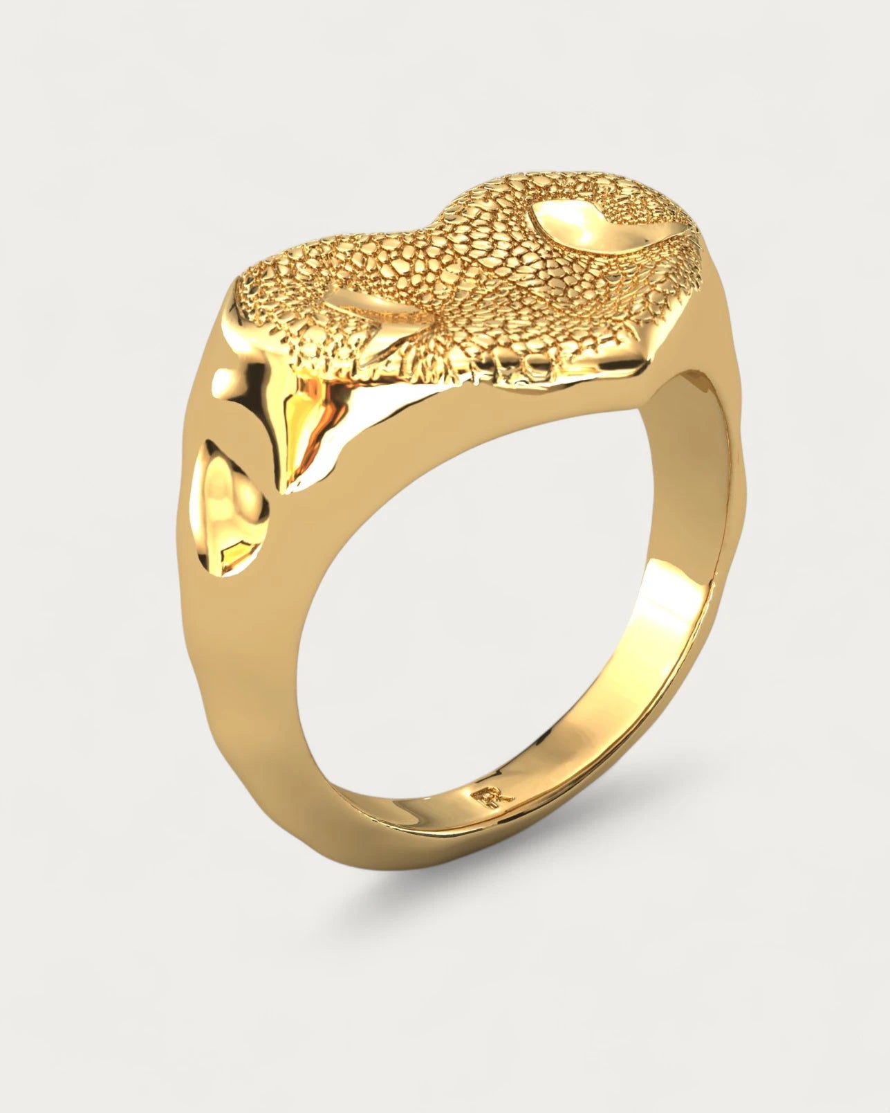 Anillo Huella Nariz Perro o Gato Dorado